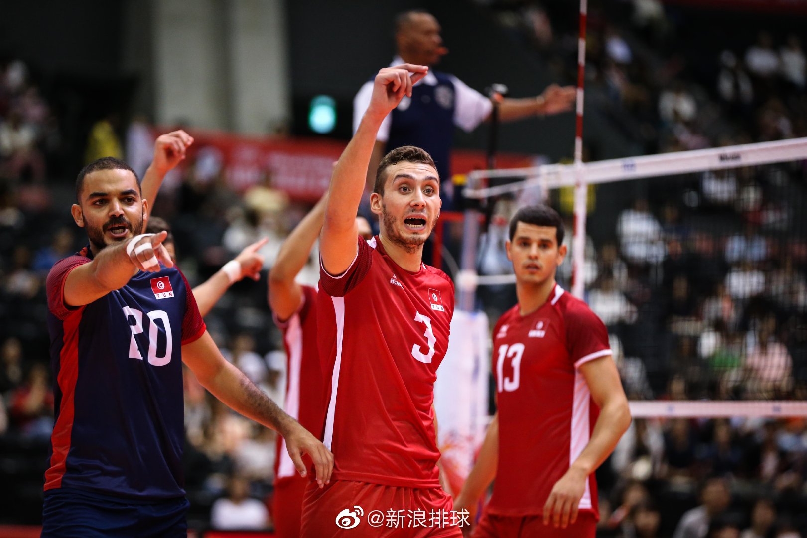 波兰队轻取中国队,马龙刷新纪录 波兰队轻取中国队,马龙刷新纪录