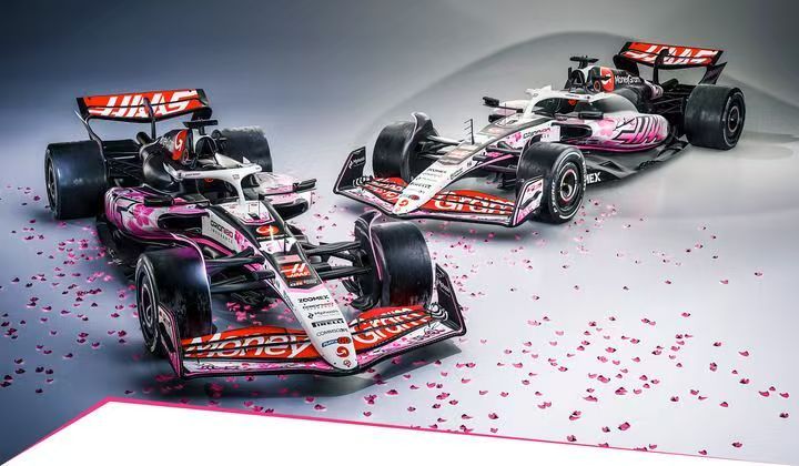 雷诺车队力克哈斯车队,阿隆索带队取胜 雷诺车队力克哈斯车队,阿隆索带队取胜