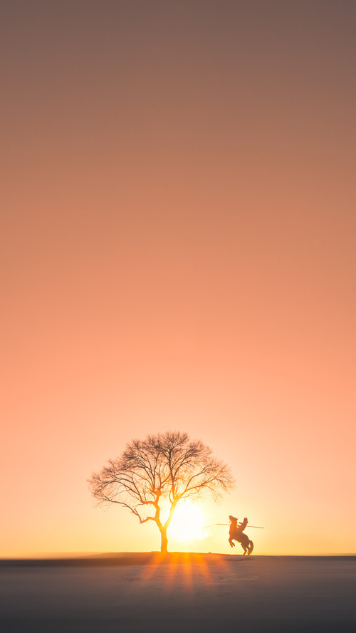 阿什拉夫,大场面先生!荷兰对阵挪威,他为何成为胜负的隐形钥匙?